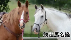 競走馬名鑑の文字が入った、茶色と白の2頭の馬が並ぶアイキャッチ画像