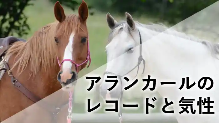 ターフを力強く駆け抜けるアランカールの走行シーンと「アランカールの脚質」という文字入りのアイキャッチ画像