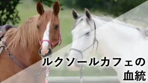 ２頭の馬の顔写真と「ルクソールカフェの血統」という文字が入った名鑑記事のアイキャッチ画像