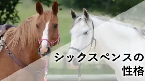 シックスペンスの性格を紹介するアイキャッチ画像（茶色と白の2頭の馬のイメージ）