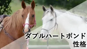 ダブルハートボンドの競走馬名鑑用アイキャッチ画像（栗毛と芦毛の馬のコラージュデザイン）