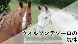 ウィルソンテソーロの気性を解説するブログ記事のアイキャッチ画像。茶色の馬（栗毛）と白っぽい馬（芦毛）が並んでいる様子。