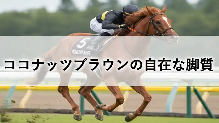 芝コースを力走する鹿毛の競走馬ココナッツブラウンと、文字入れ「ココナッツブラウンの自在な脚質」