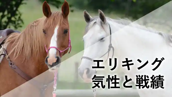競走馬エリキングの気性と戦績を紹介する記事のアイキャッチ画像。馬が並んでいる背景に「エリキング 気性と戦績」の文字が入っている。