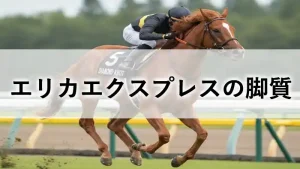 エリカエクスプレスの脚質を紹介する記事の見出し画像。ターフを力強く駆ける姿。