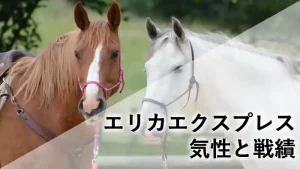 エリカエクスプレスの記事アイキャッチ。茶色い馬と白い馬の背景に「エリカエクスプレス 気性と戦績」という文字がデザインされた画像。