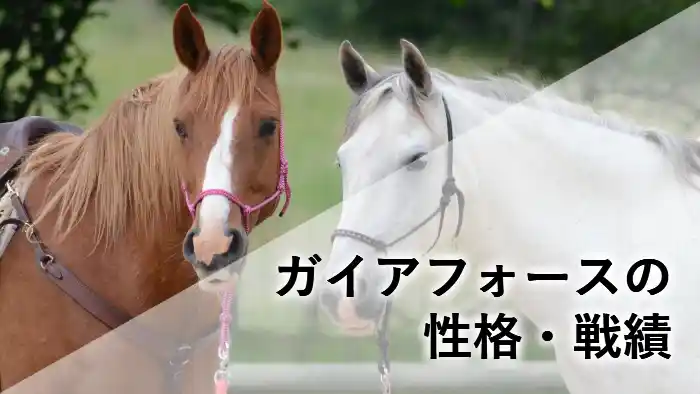 ガイアフォースの性格と戦績を網羅したプロフィール解説用のアイキャッチ画像