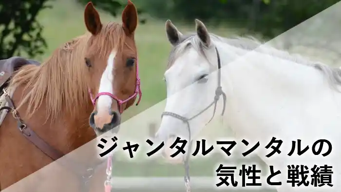 ジャンタルマンタルの気性と競走成績をまとめたプロフィール名鑑記事のアイキャッチ画像
