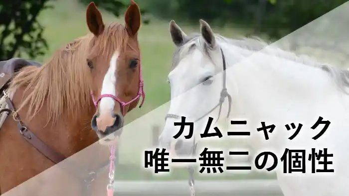 正面を向いた2頭の競走馬の顔。左は鹿毛、右は芦毛。白いベールがかかったデザインで、「カムニャック 唯一無二の個性」の文字。
