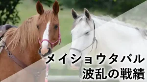 栗毛と芦毛の二頭の競走馬が並び、その横に「メイショウタバル 波乱の戦績」というタイトル文字がデザインされたアイキャッチ画像