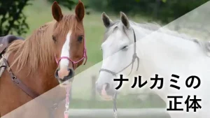 ナルカミの素顔（流星）とメンコ姿を比較したアイキャッチ画像。「ナルカミの正体」というテキスト入り。