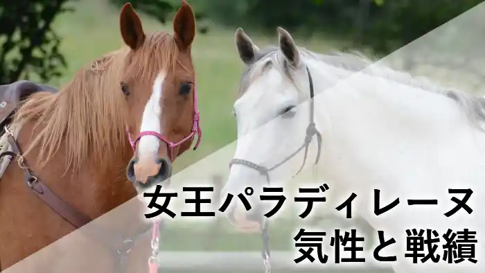競走馬パラディレーヌのアイキャッチ画像：馬の横顔と「女王パラディレーヌ 気性と戦績」のテキスト