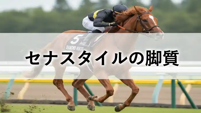 芝を力強く駆け抜ける競走馬セナスタイルの走る姿