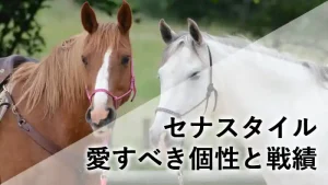 栗毛と白の馬の顔が並ぶ、競走馬セナスタイルのブログアイキャッチ画像。