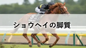 レースを走る競走馬ショウヘイの姿と脚質考察のアイキャッチ画像