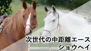 次世代の中距離エース、競走馬ショウヘイの紹介記事アイキャッチ画像