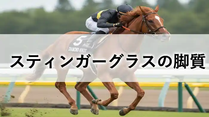スティンガーグラスのレースでの走り。長距離戦における脚質分析のイメージ画像