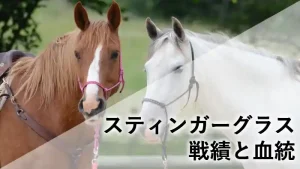 スティンガーグラスの馬体。これまでの戦績と血統背景を紹介するプロフィール画像