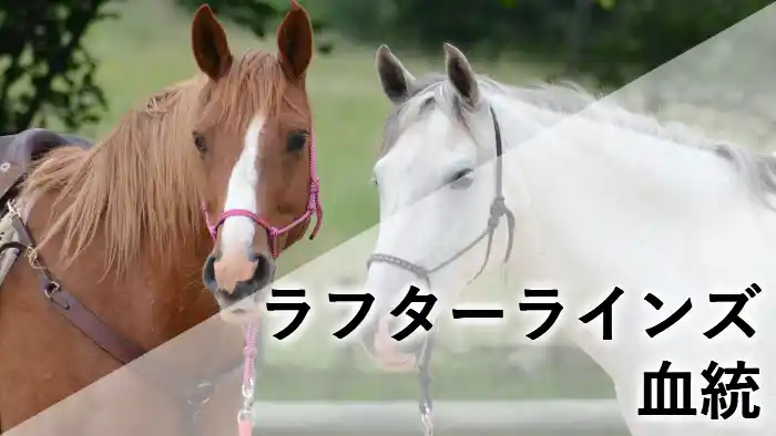 ラフターラインズの血統記事アイキャッチ画像｜並んだ2頭の馬と「血統」の文字