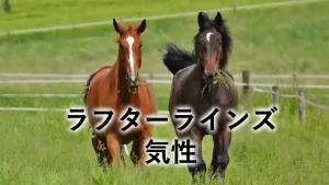 ラフターラインズの気性記事アイキャッチ画像｜草原を走る2頭の馬