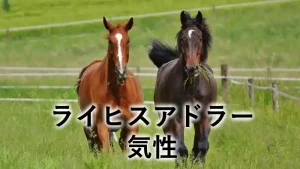 ライヒスアドラーの気性記事アイキャッチ画像。草原を並んで走る2頭の馬と「ライヒスアドラー 気性」の文字が入ったデザイン。