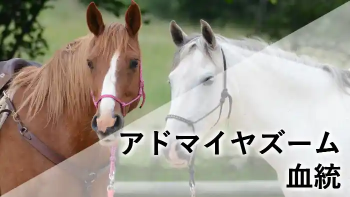 アドマイヤズームの血統をイメージしたアイキャッチ画像。栗毛馬と白毛馬が並ぶ姿を背景に血統記事のタイトルを配置。
