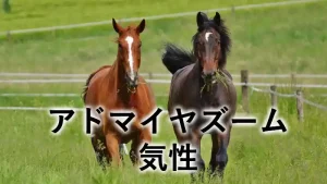 アドマイヤズームの気性や成長をイメージしたアイキャッチ画像。草地を駆ける2頭の馬の写真。