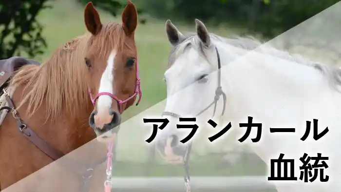 2頭の馬が並ぶ写真に「アランカール 血統」の文字を配置した競馬ブログ用アイキャッチ画像