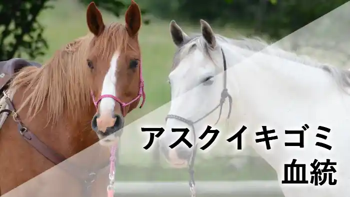 アスクイキゴミの血統とプロフィールを紹介するアイキャッチ画像