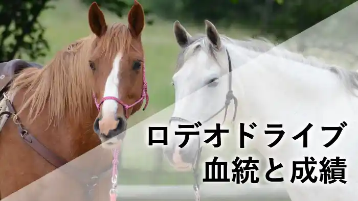競走馬ロデオドライブの横顔と、血統背景をイメージさせる白馬が重なったアイキャッチ画像。「ロデオドライブ 血統と成績」という文字入り。