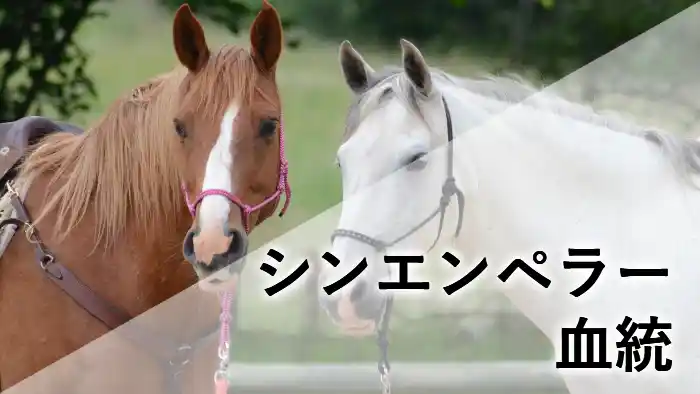 シンエンペラーの血統解説記事のアイキャッチ画像（栗毛と芦毛の馬の背景に「シンエンペラー 血統」の文字）