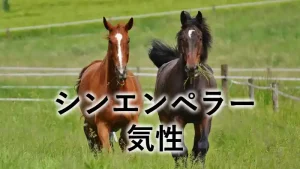 シンエンペラーの気性や厩舎エピソードを紹介するブログ記事のアイキャッチ画像。緑の牧草地を2頭の栗毛と鹿毛の馬が走っている様子に、「シンエンペラーの気性 厩舎エピソード！」という文字が入っています。