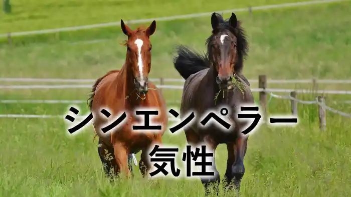 シンエンペラーの気性や厩舎エピソードを紹介するブログ記事のアイキャッチ画像。緑の牧草地を2頭の栗毛と鹿毛の馬が走っている様子に、「シンエンペラーの気性 厩舎エピソード！」という文字が入っています。
