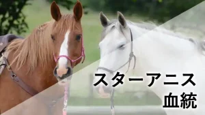 スターアニスの血統考察記事のアイキャッチ画像（栗毛と芦毛の2頭の馬のイラスト背景に「スターアニス 血統」の文字）