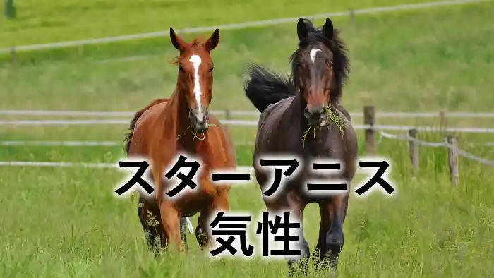 スターアニスの気性や厩舎エピソードをイメージした放牧地の競走馬たち