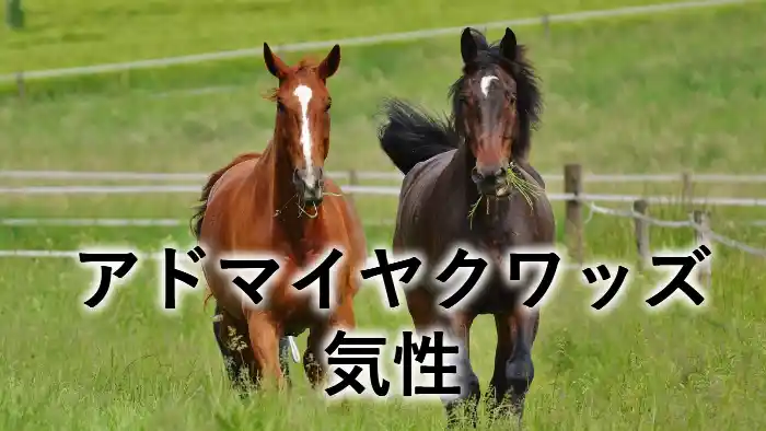 アドマイヤクワッズの気性をイメージした放牧中の馬の画像