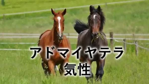 アドマイヤテラの気性をイメージした放牧中の馬たちのアイキャッチ画像