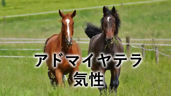 アドマイヤテラの気性をイメージした放牧中の馬たちのアイキャッチ画像