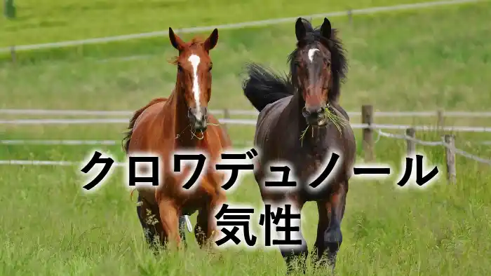クロワデュノールの気性や厩舎エピソードを解説するアイキャッチ画像