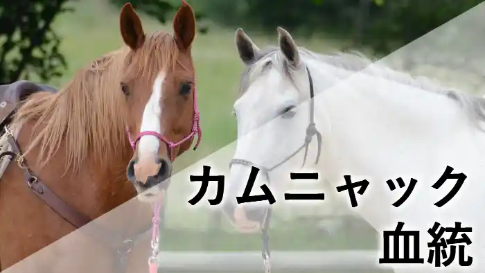 カムニャックの血統をイメージしたアイキャッチ画像