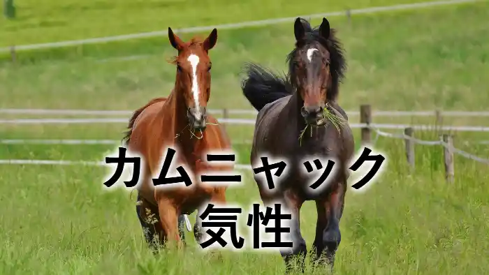 カムニャックの気性を解説するアイキャッチ画像