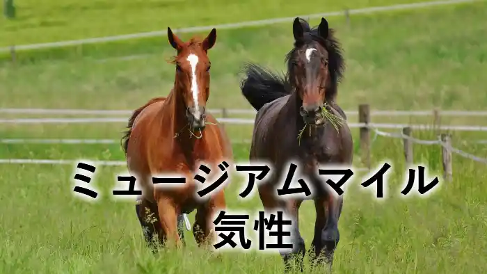 ミュージアムマイルの気性をイメージしたアイキャッチ画像。