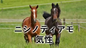 ニシノティアモの気性や性格をテーマにした記事のアイキャッチ画像。牧草地を走る2頭の馬の写真。
