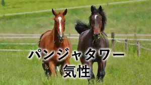 パンジャタワーの気性や厩舎エピソードを紹介する記事アイキャッチ画像。放牧地を走る2頭の馬の姿が、若駒時代のやんちゃさや成長過程をイメージさせる。