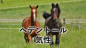 ヘデントールの気性をイメージした放牧中の馬の写真