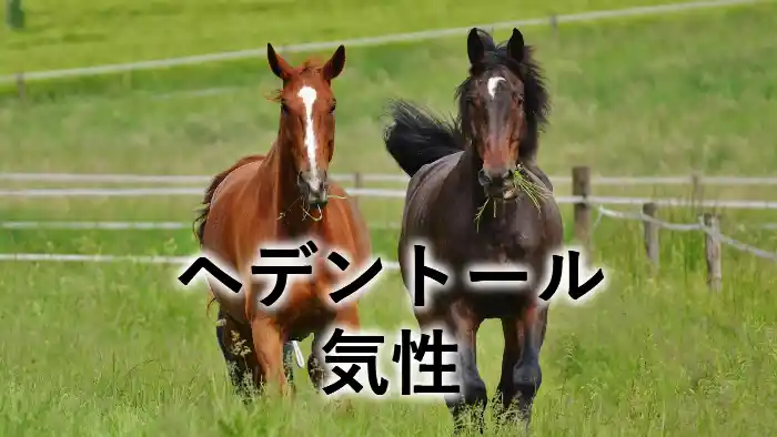 ヘデントールの気性をイメージした放牧中の馬の写真