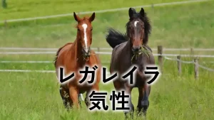 レガレイラの気性を解説するアイキャッチ画像。賢さと勝負根性を兼ね備えた性格や厩舎エピソードを紹介