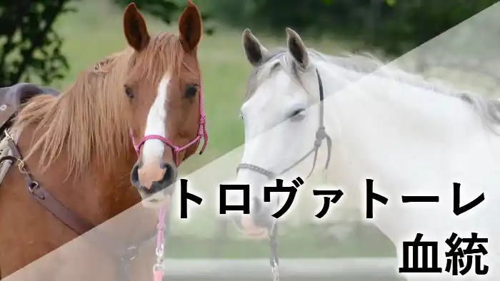 トロヴァトーレの血統をイメージしたアイキャッチ画像。栗毛馬と白毛馬が並ぶ様子を背景にした血統解説用の画像