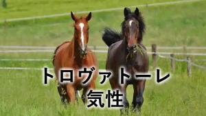 トロヴァトーレの気性をイメージしたアイキャッチ画像。牧場で並んで走る2頭の馬の写真
