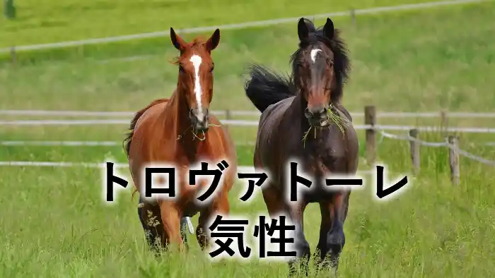 トロヴァトーレの気性をイメージしたアイキャッチ画像。牧場で並んで走る2頭の馬の写真